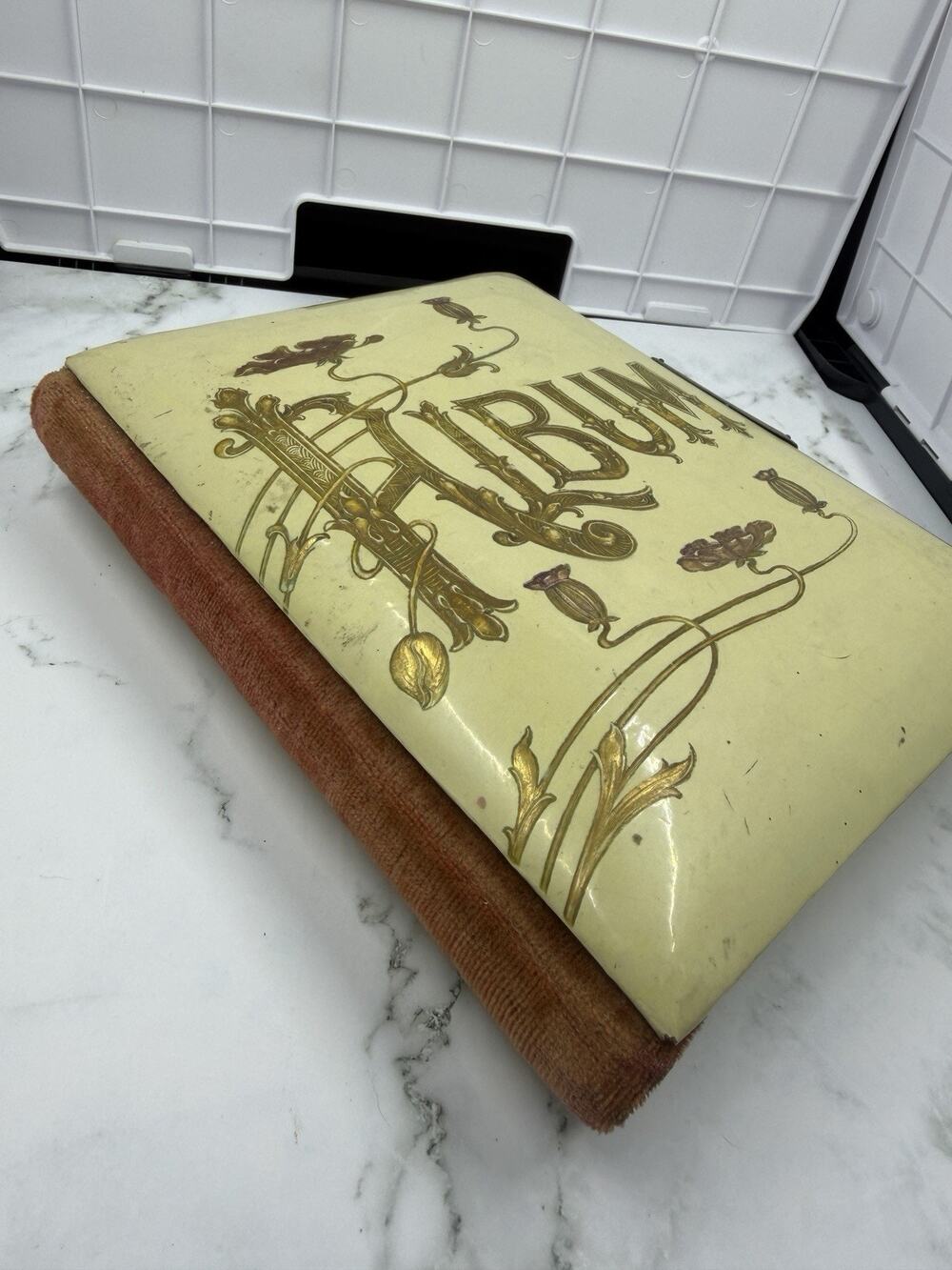 Empty Antique Art Nouveau Celluloid Photo Album - Victorian Era Poppy Design